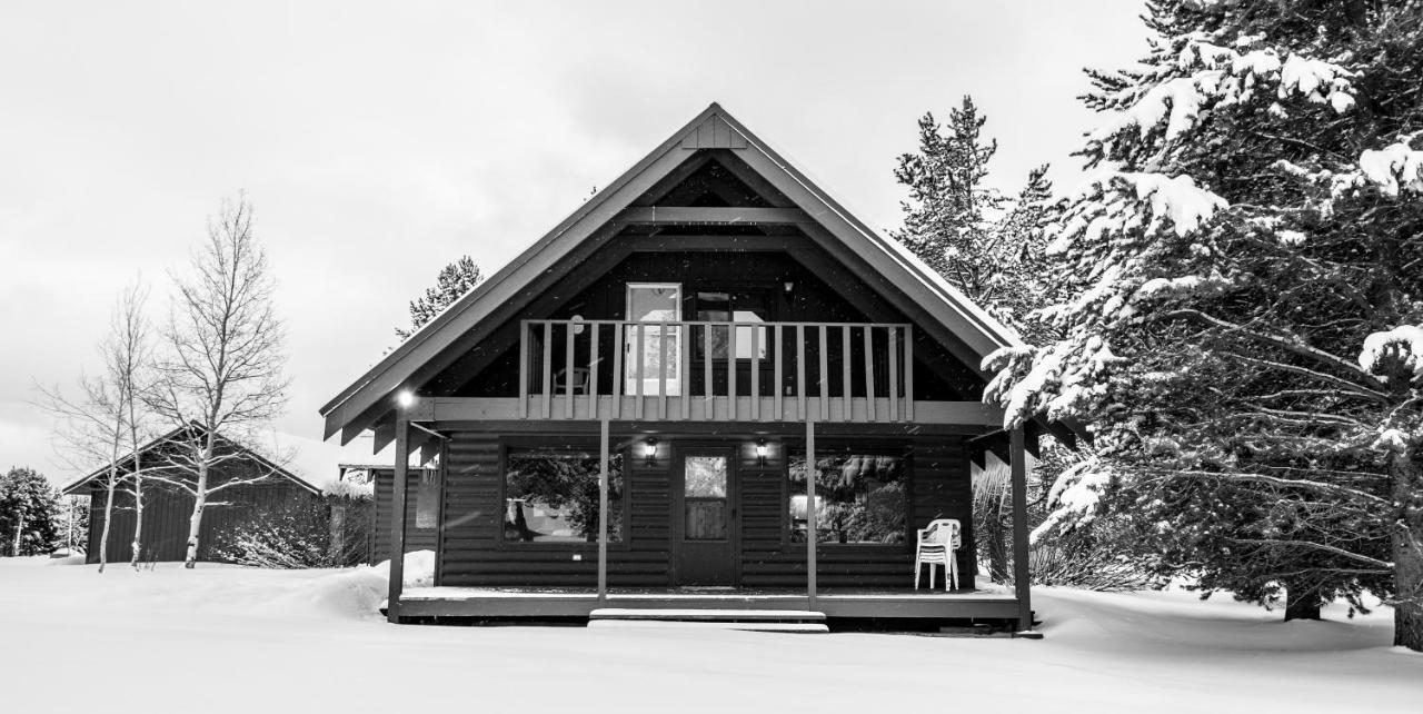 Yellowstone Cozy Caldera Cabin 艾兰帕克 外观 照片